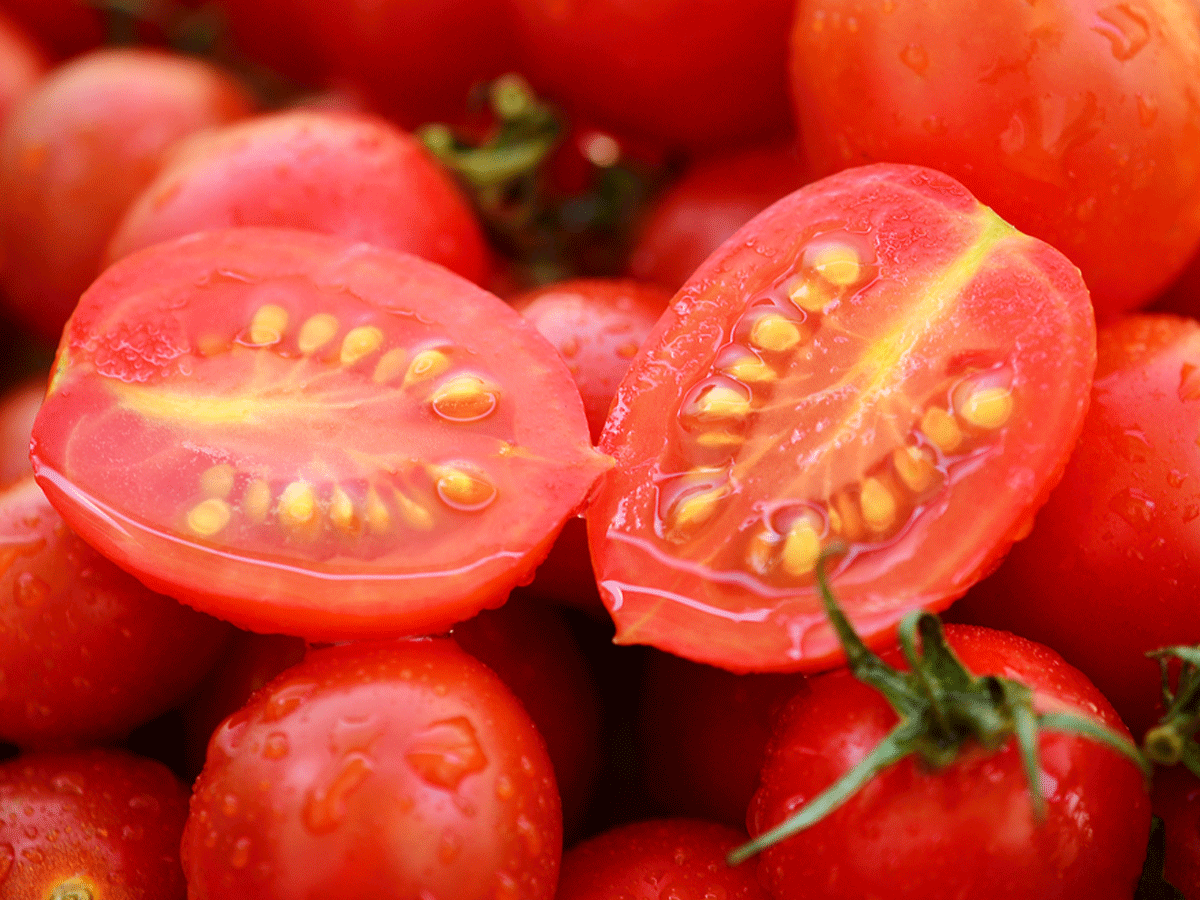 Detail Images Of Tomato Nomer 54
