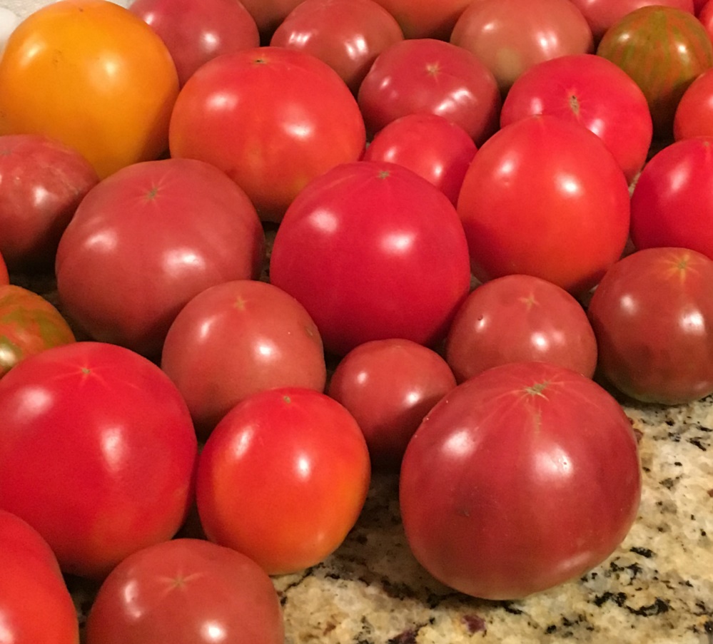 Detail Images Of Tomatoes Nomer 21