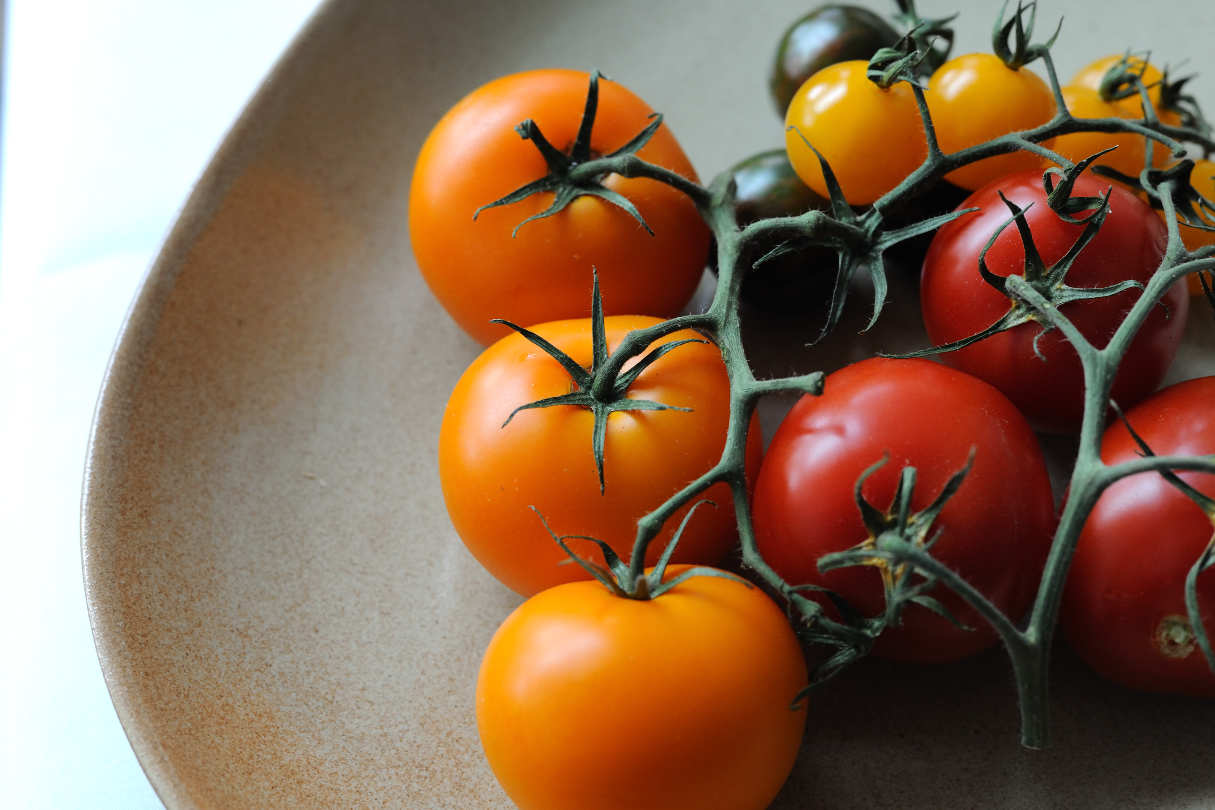 Detail Images Of Tomatoes Nomer 47