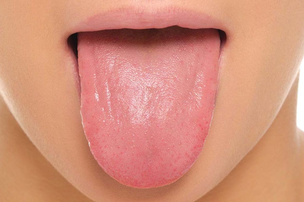 Detail Images Of Tongue Nomer 13