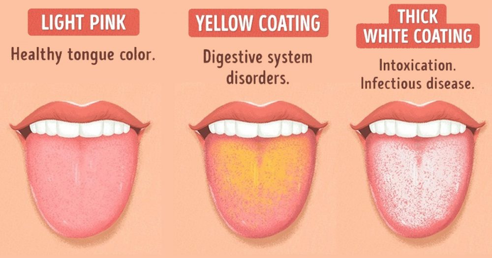 Detail Images Of Tongue Nomer 19