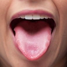 Detail Images Of Tongue Nomer 47