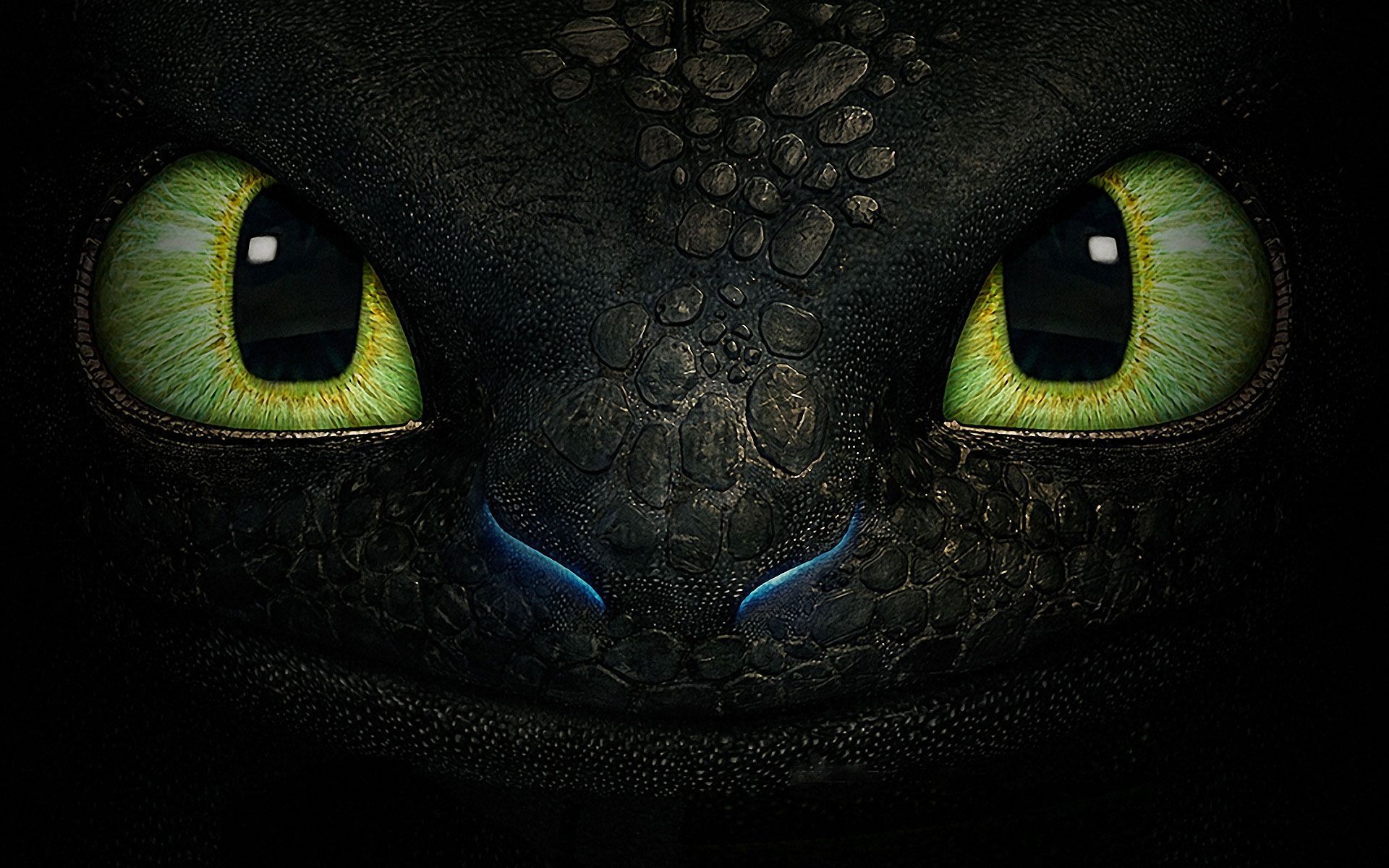 Detail Images Of Toothless The Dragon Nomer 11