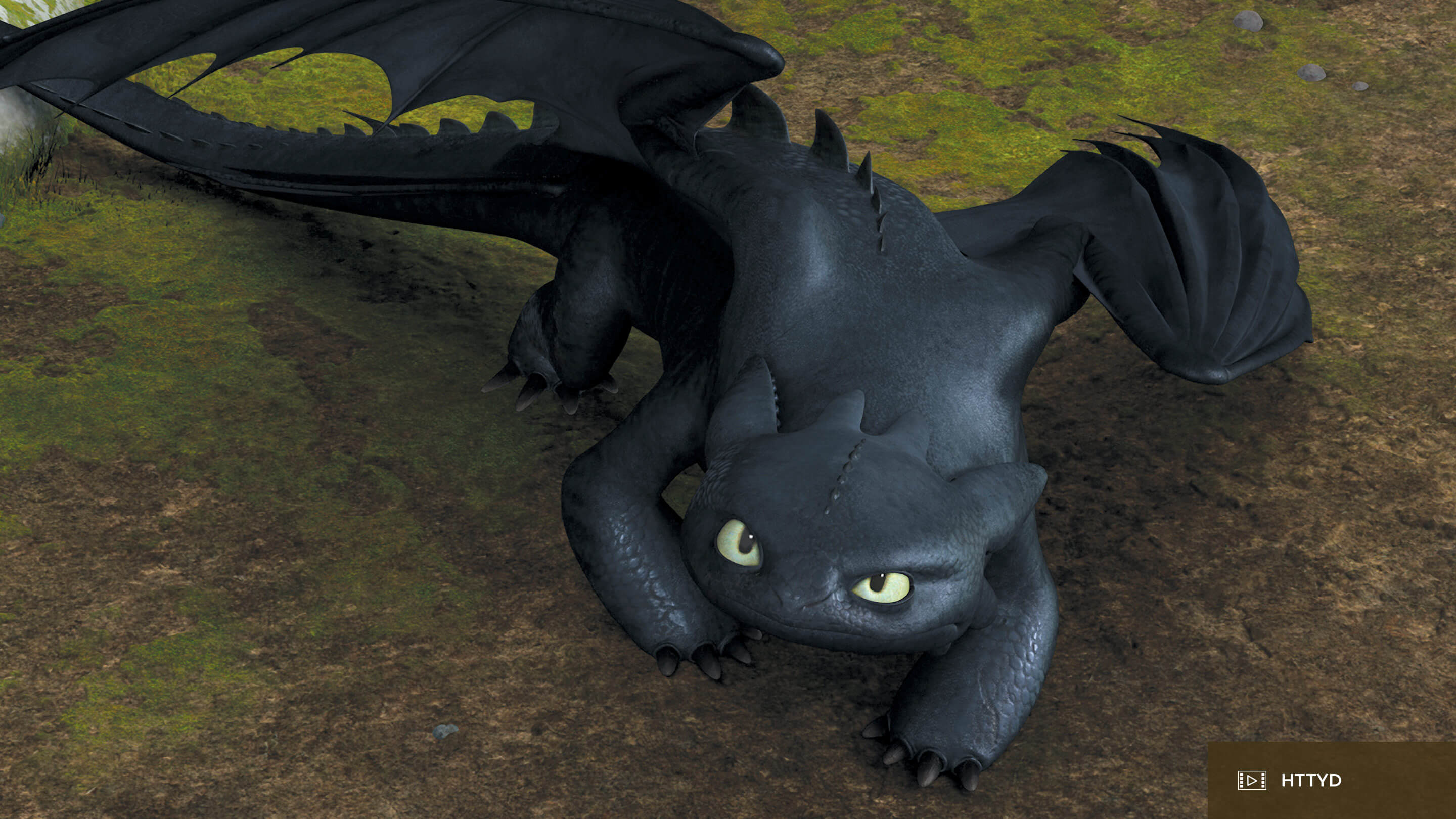Detail Images Of Toothless The Dragon Nomer 12
