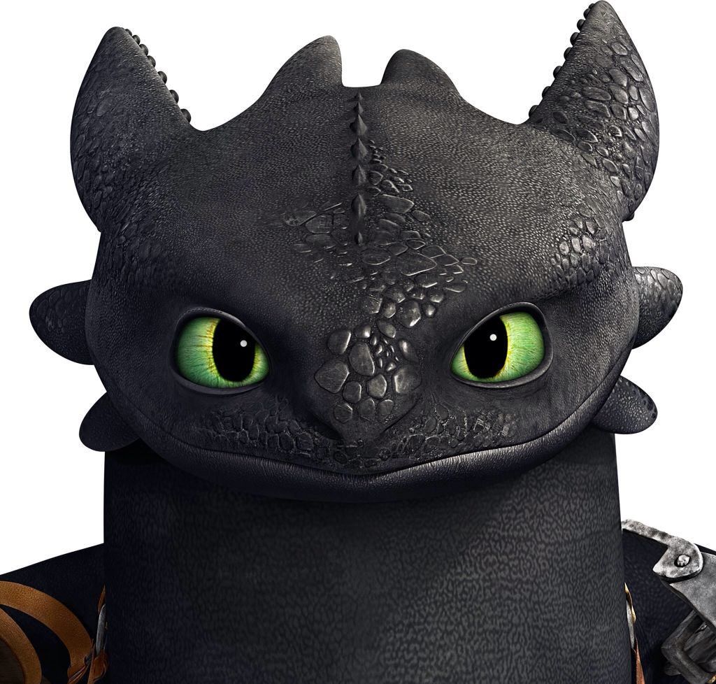 Detail Images Of Toothless The Dragon Nomer 14