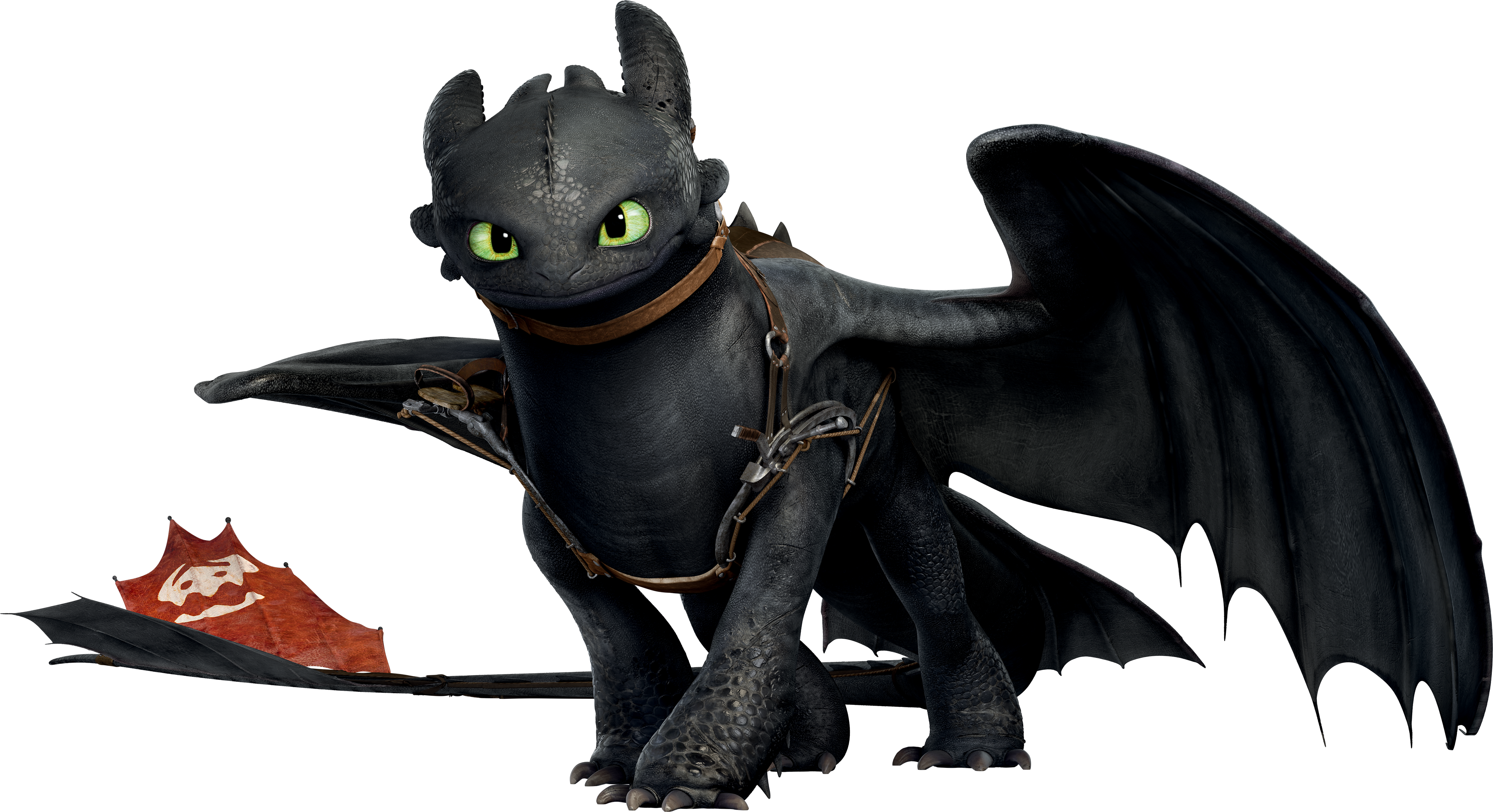Detail Images Of Toothless The Dragon Nomer 3