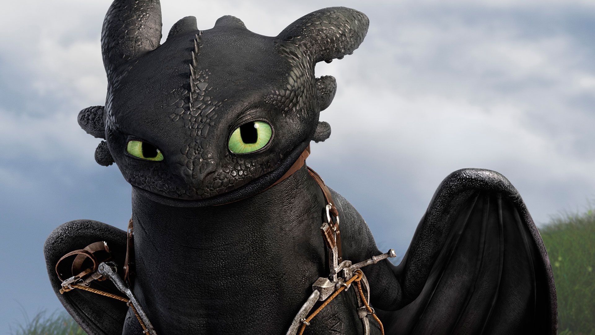 Detail Images Of Toothless The Dragon Nomer 23
