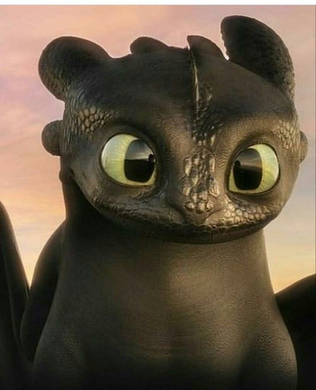 Detail Images Of Toothless The Dragon Nomer 5