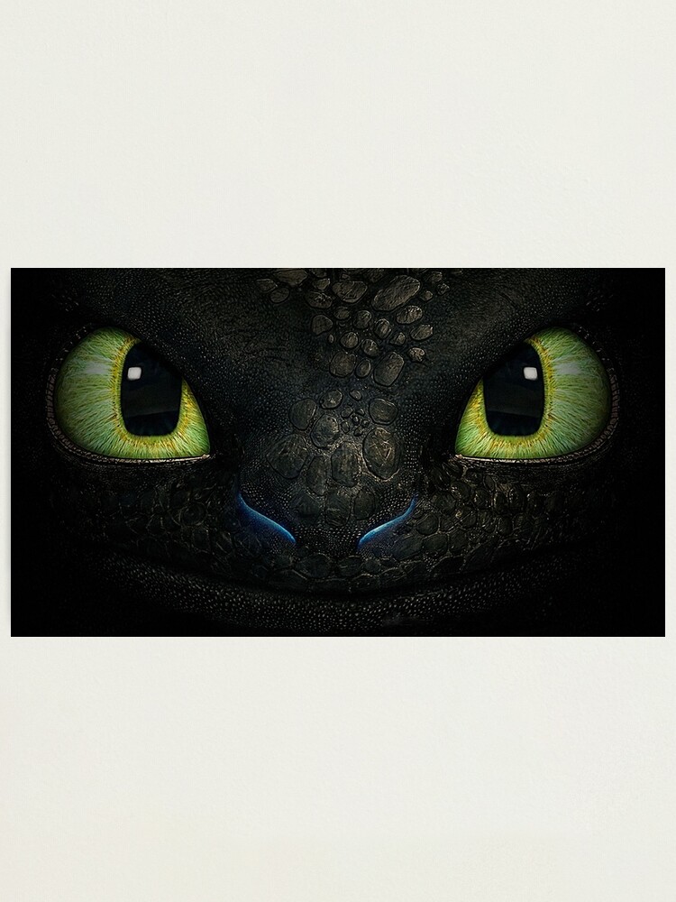 Detail Images Of Toothless The Dragon Nomer 41