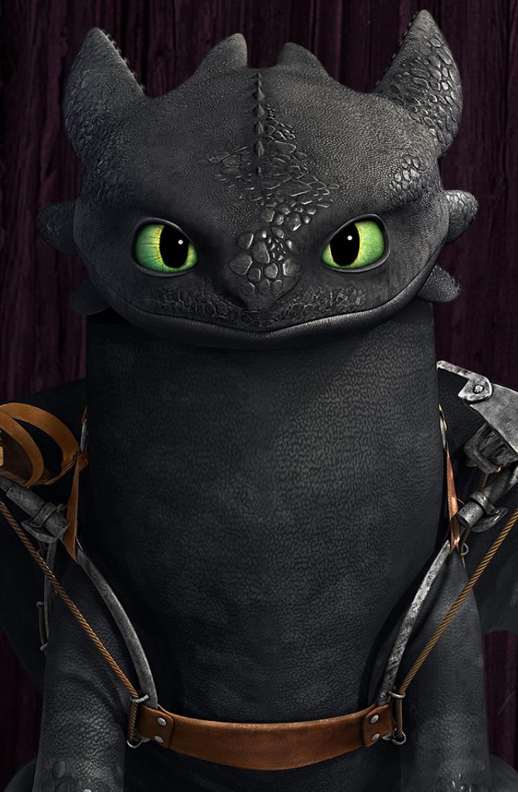Detail Images Of Toothless The Dragon Nomer 49