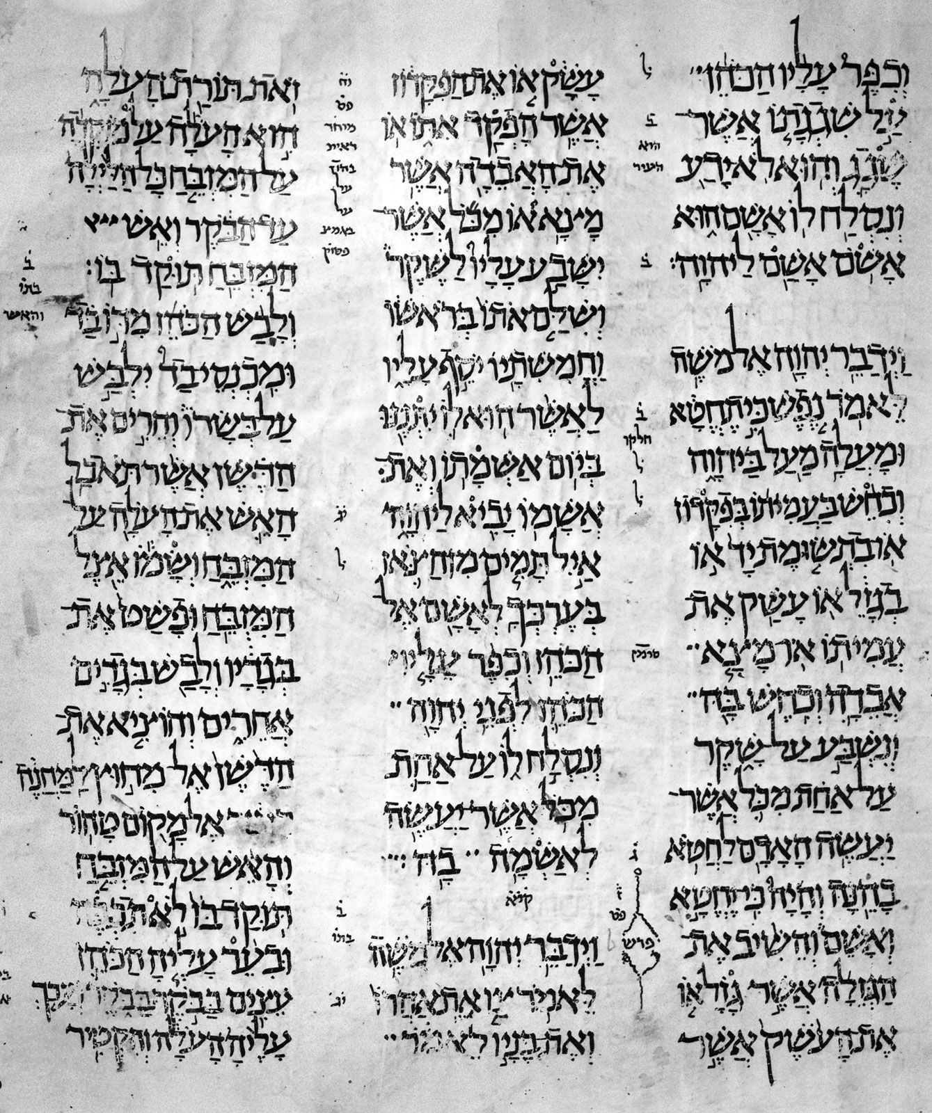 Detail Images Of Torah Nomer 34