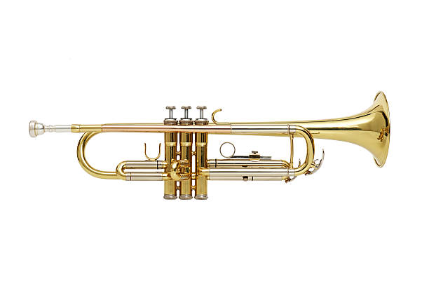 Detail Images Of Trumpet Nomer 20