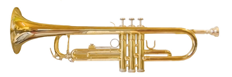 Detail Images Of Trumpet Nomer 41