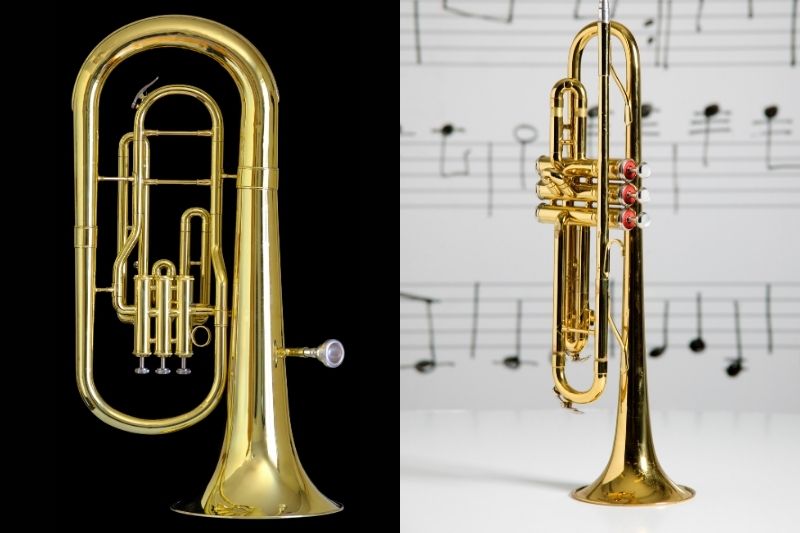 Detail Images Of Trumpet Nomer 42