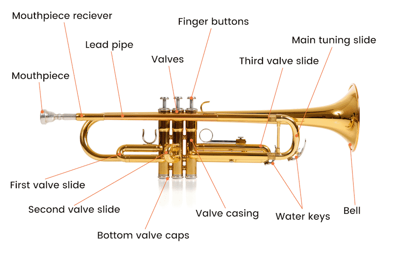 Detail Images Of Trumpet Nomer 8