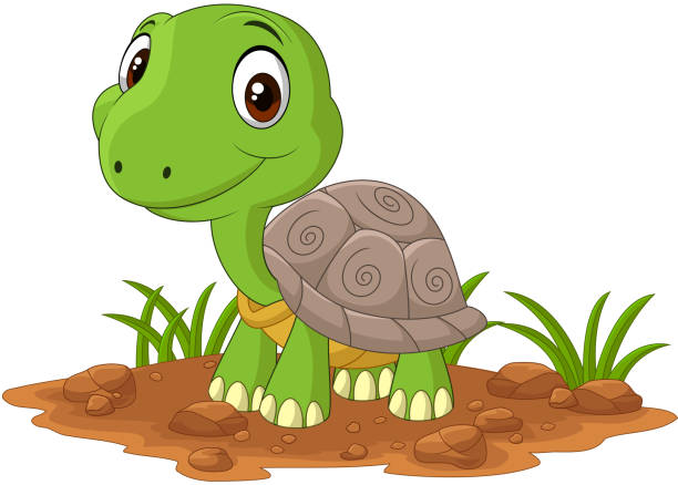 Detail Images Of Turtles Cartoon Nomer 2