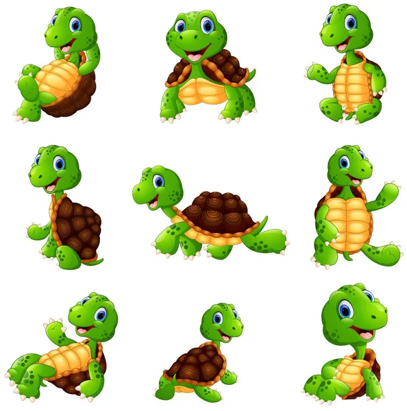 Detail Images Of Turtles Cartoon Nomer 41