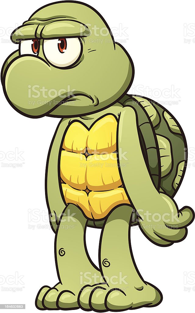 Detail Images Of Turtles Cartoon Nomer 44