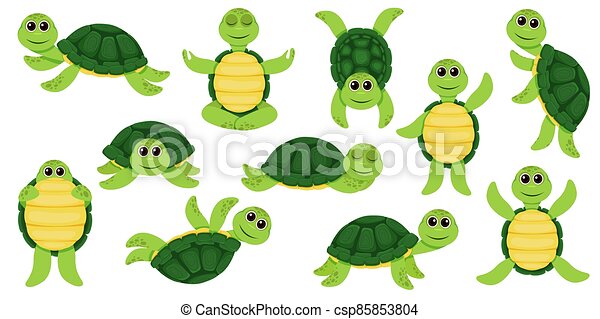 Detail Images Of Turtles Cartoon Nomer 47