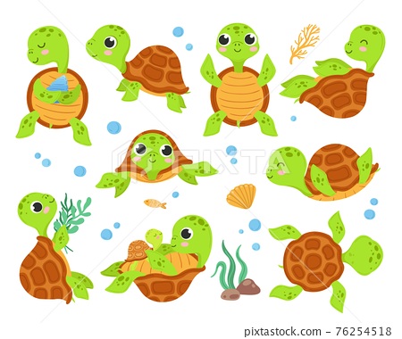 Detail Images Of Turtles Cartoon Nomer 54