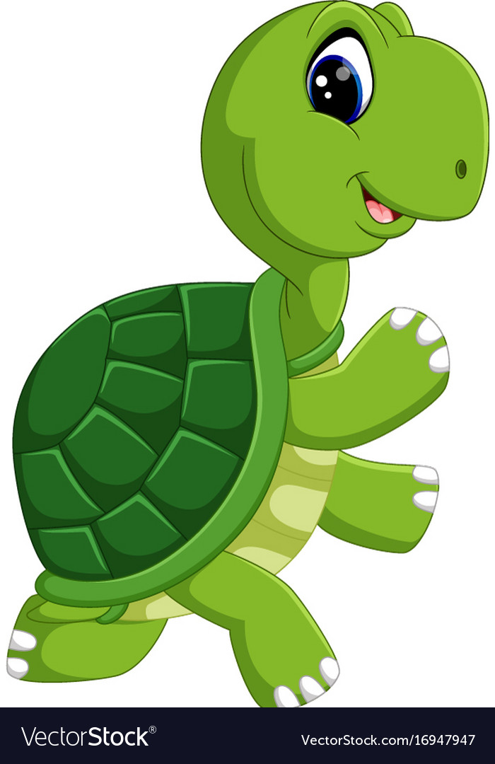 Detail Images Of Turtles Cartoon Nomer 9