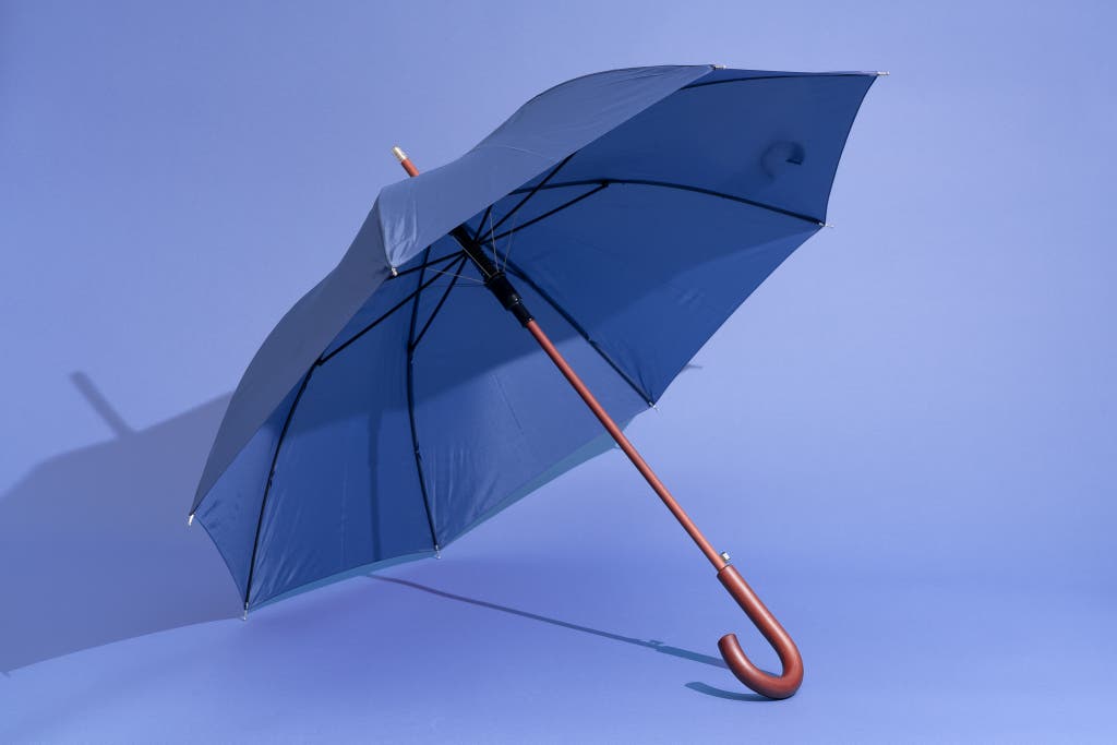 Detail Images Of Umbrellas Nomer 49