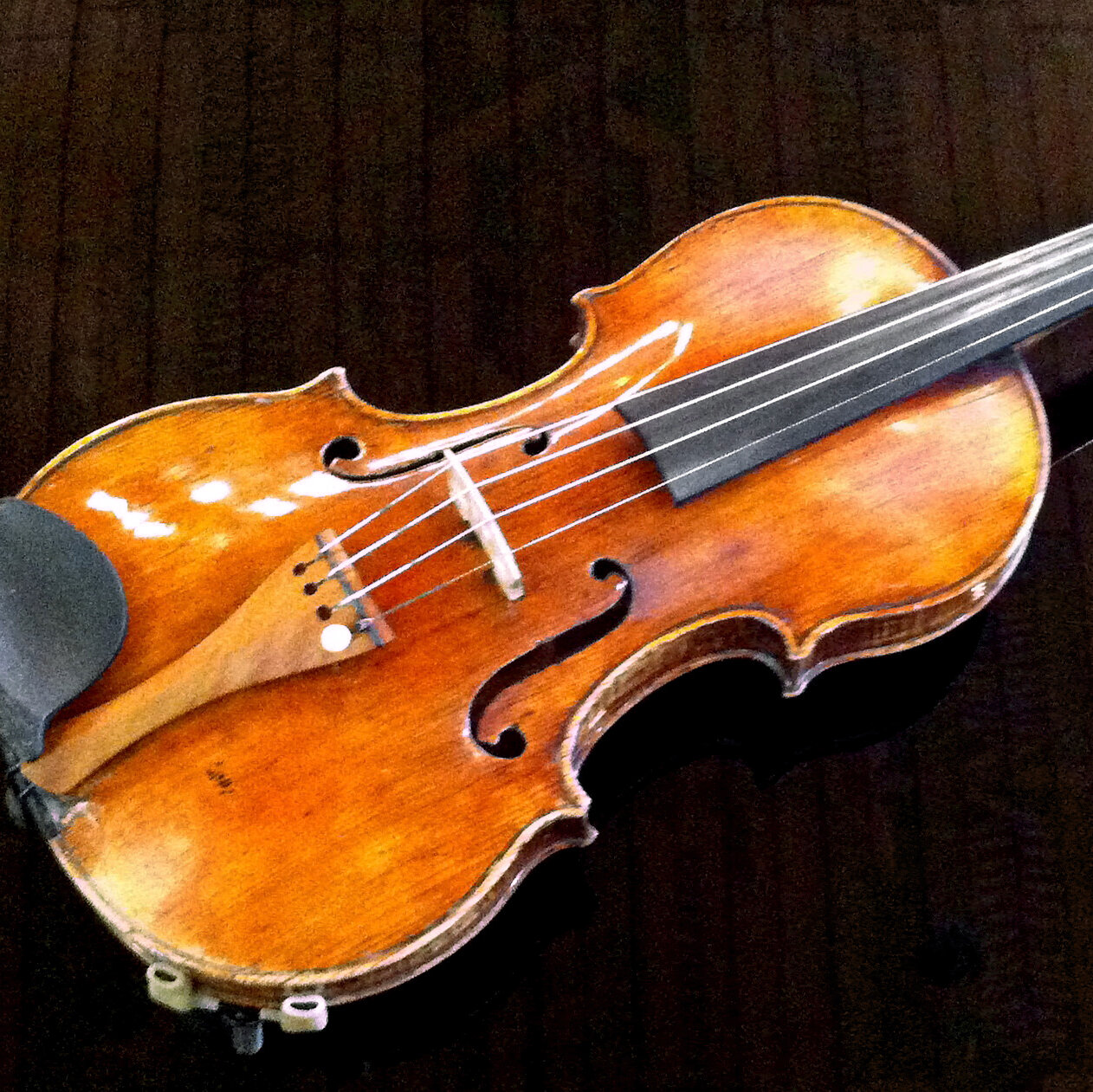 Detail Images Of Violin Nomer 27