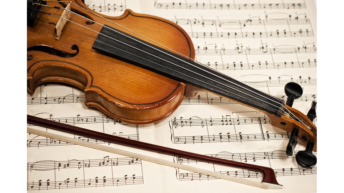 Detail Images Of Violin Nomer 39