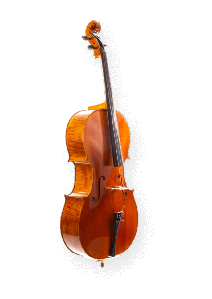 Detail Images Of Violins Nomer 45
