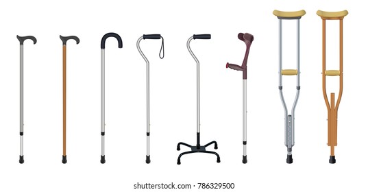 Detail Images Of Walking Sticks Nomer 3