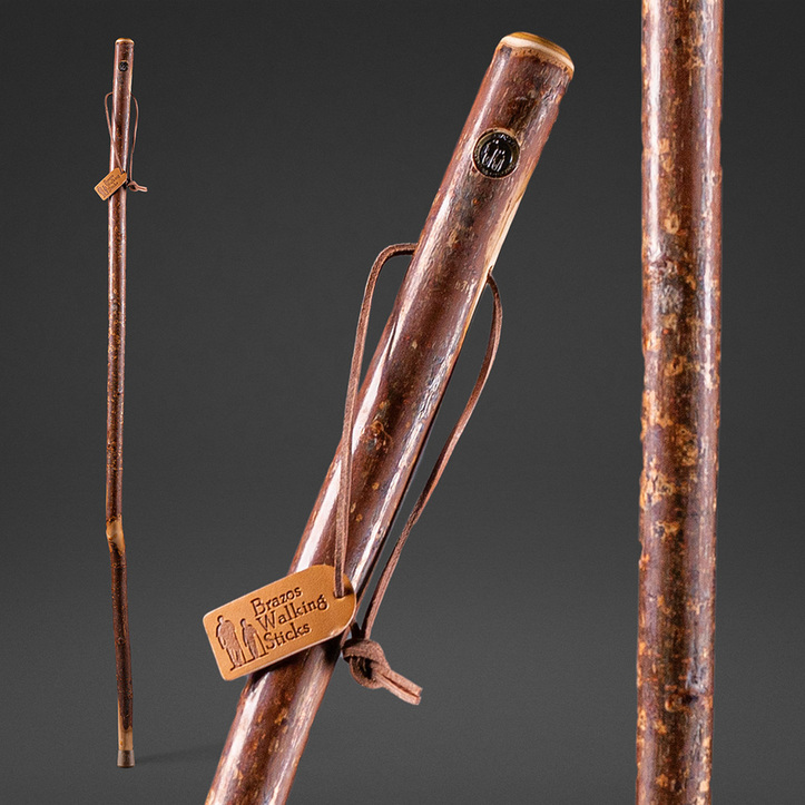 Detail Images Of Walking Sticks Nomer 37