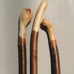 Detail Images Of Walking Sticks Nomer 40