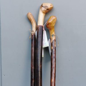 Detail Images Of Walking Sticks Nomer 55