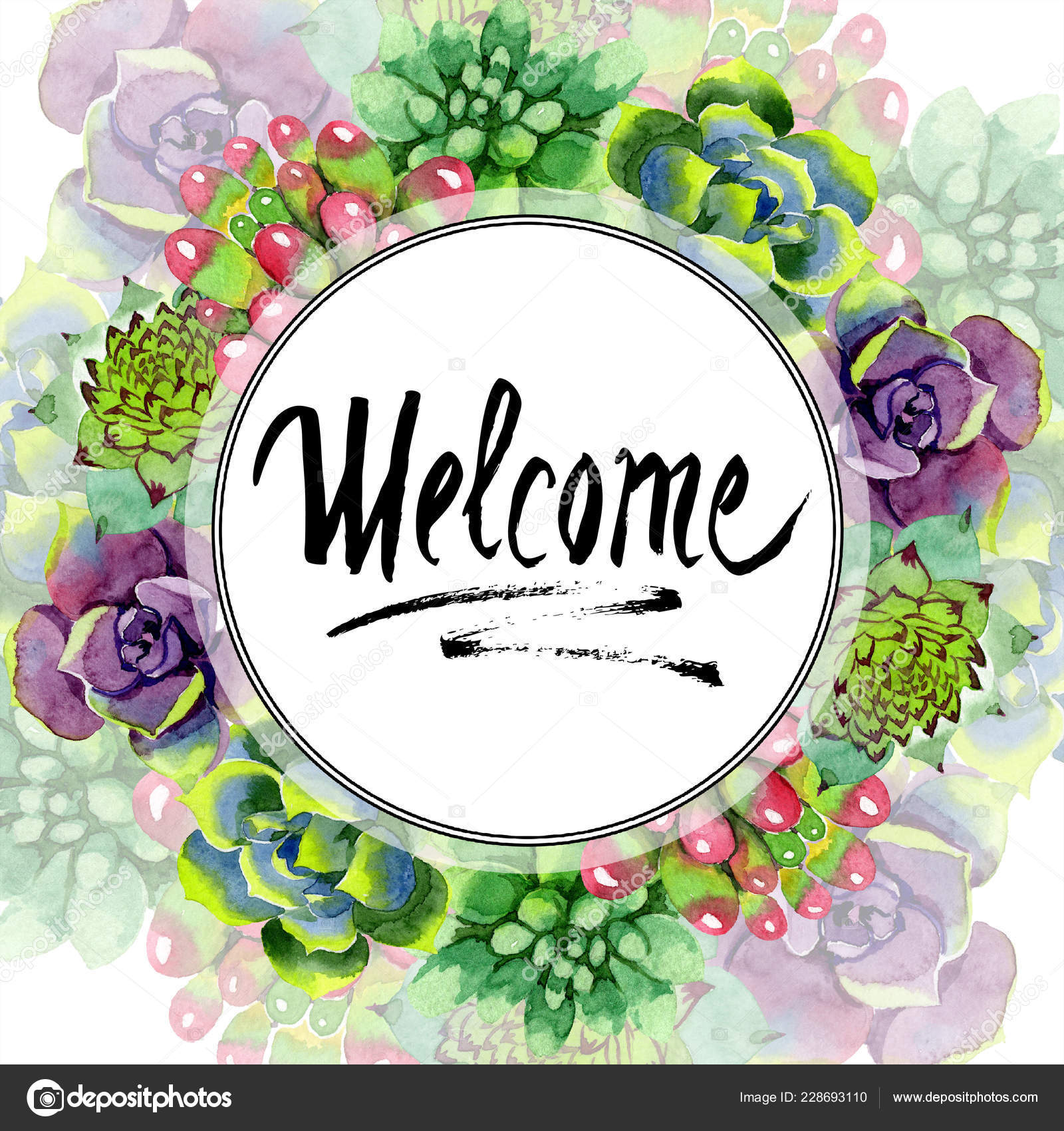 Detail Images Of Welcome Nomer 34