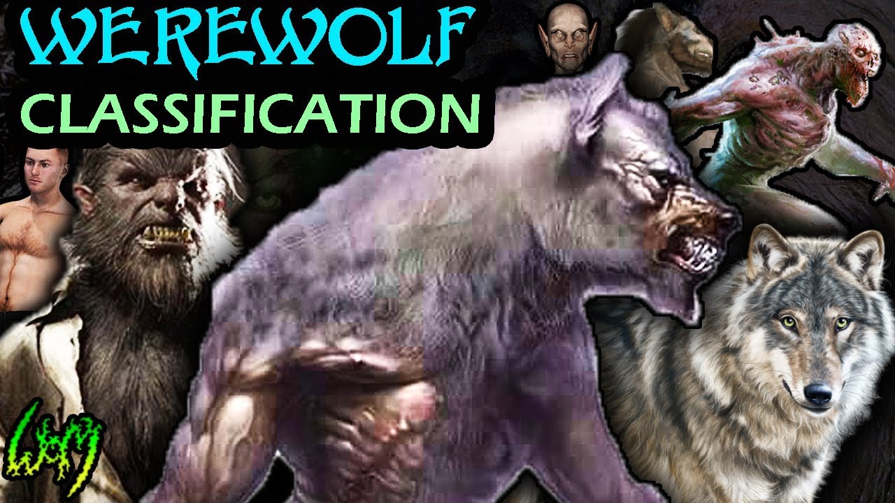 Detail Images Of Werewolves Nomer 39