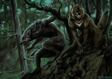 Detail Images Of Werewolves Nomer 53