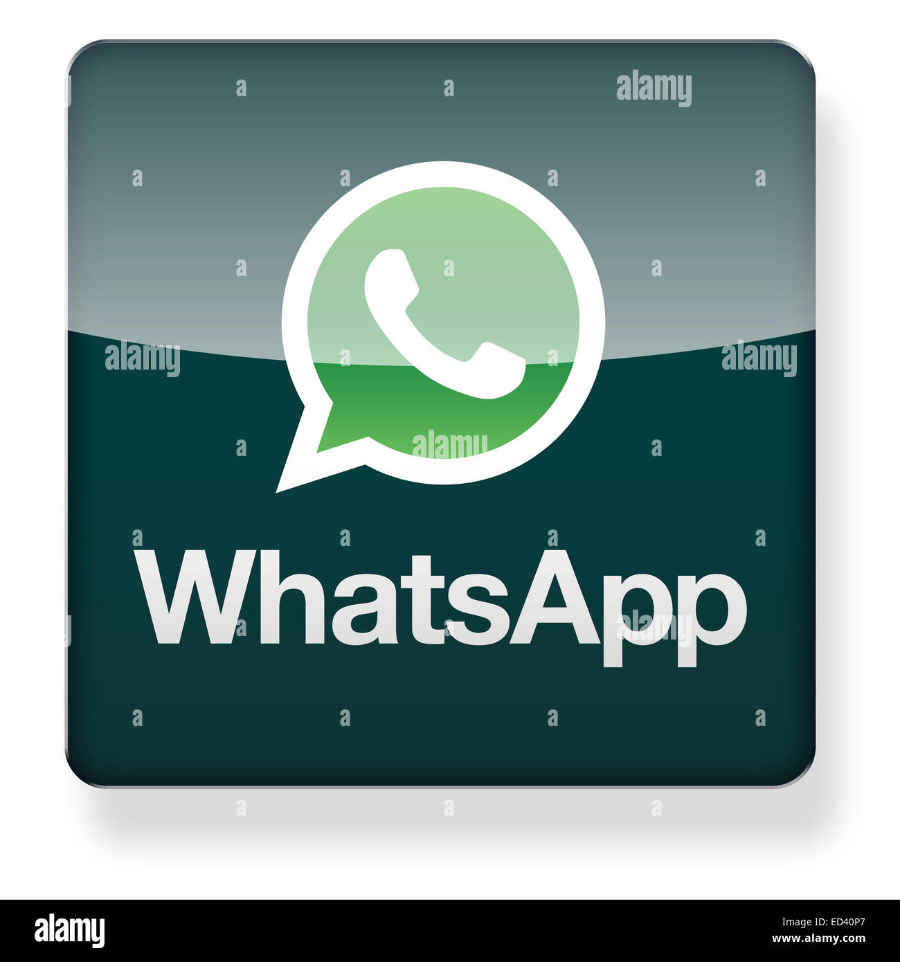 Detail Images Of Whatsapp Logo Nomer 13