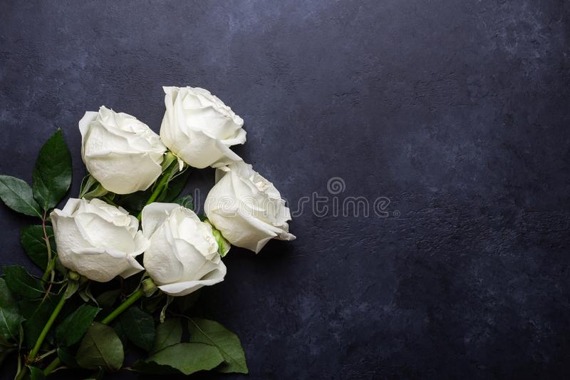 Detail Images Of White Roses Nomer 52