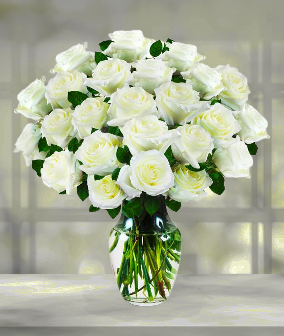 Detail Images Of White Roses Nomer 57