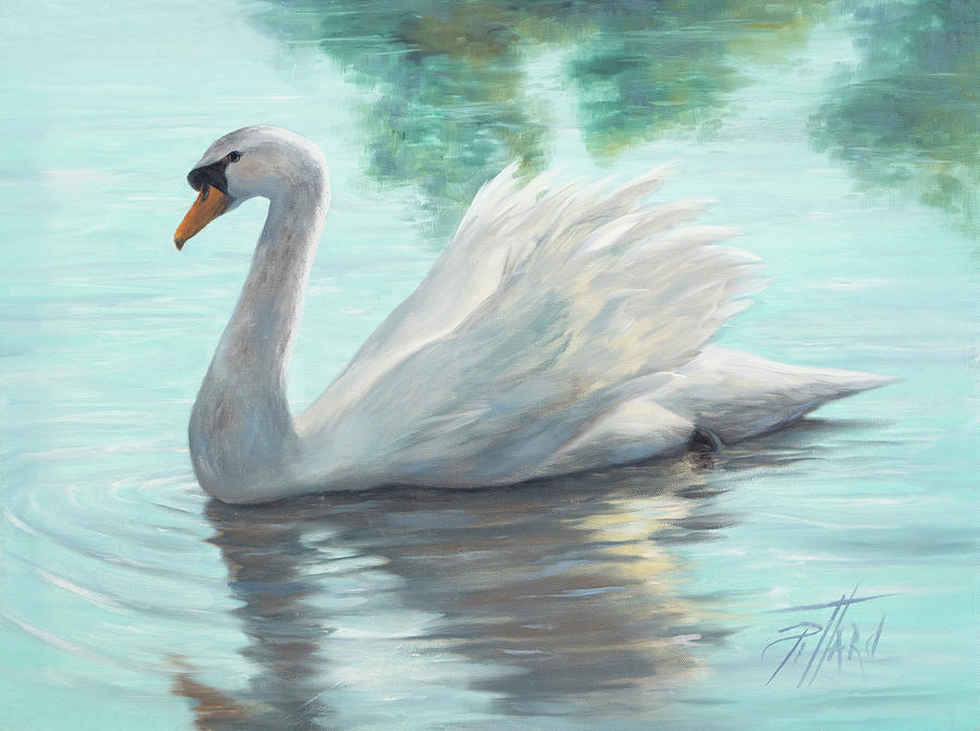 Detail Images Of White Swans Nomer 29