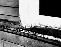 Detail Images Of Window Nomer 43