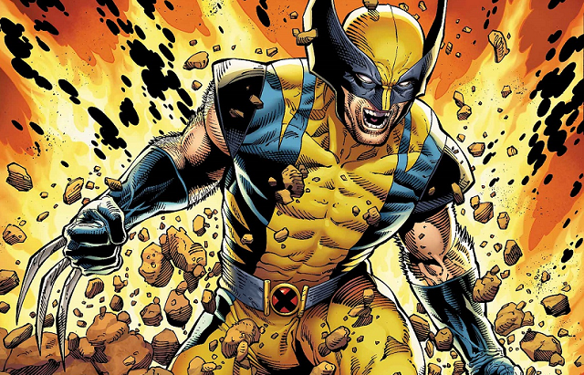 Detail Images Of Wolverine Nomer 2