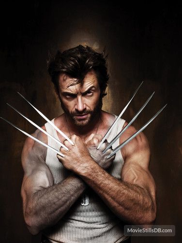 Detail Images Of Wolverine X Men Nomer 13