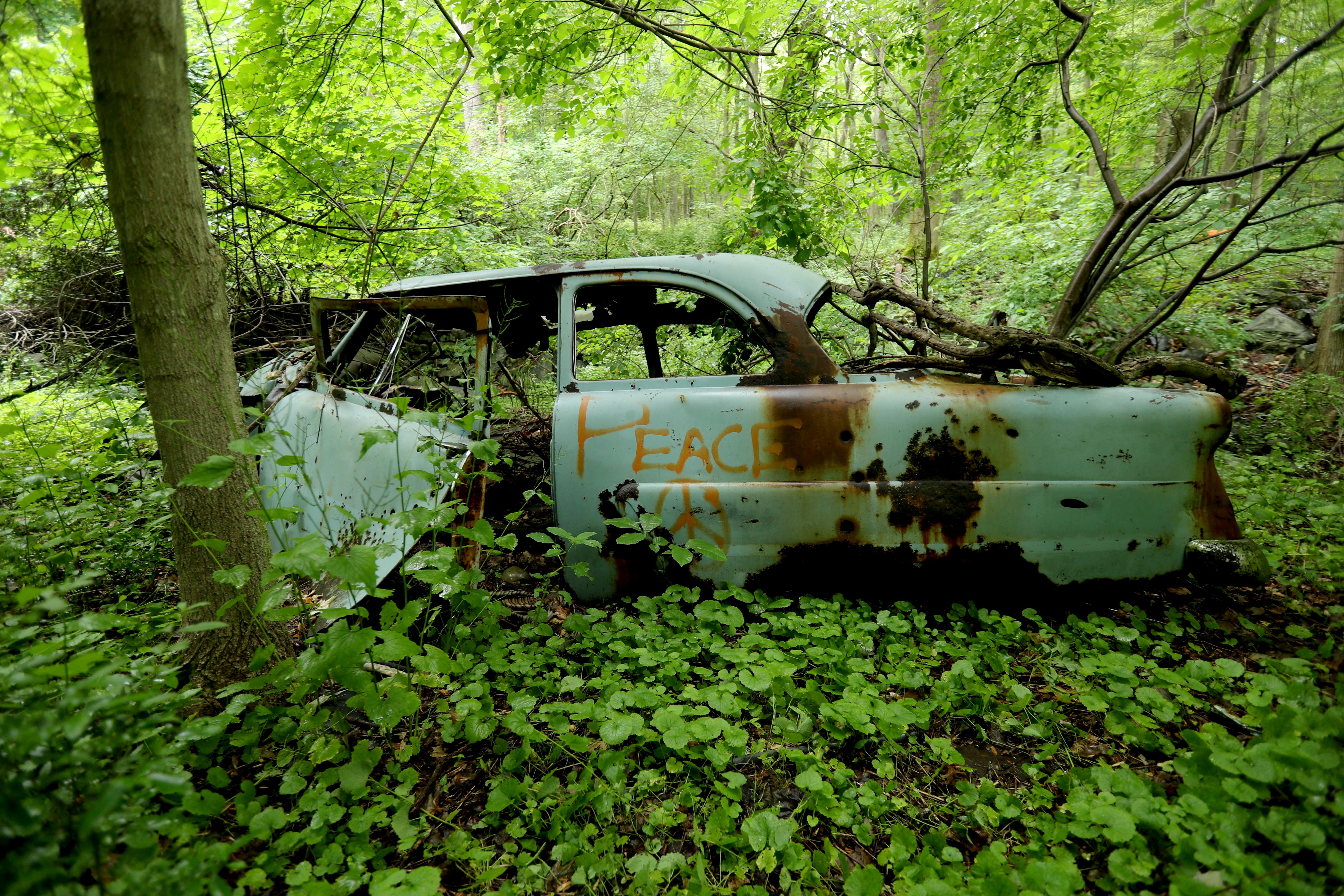 Detail Images Of Wrecked Cars Nomer 51