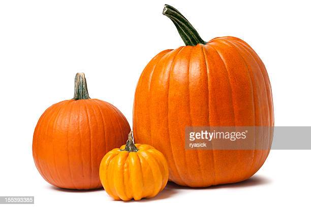 Detail Images Pumpkins Nomer 35