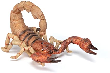 Detail Images Scorpion Nomer 45