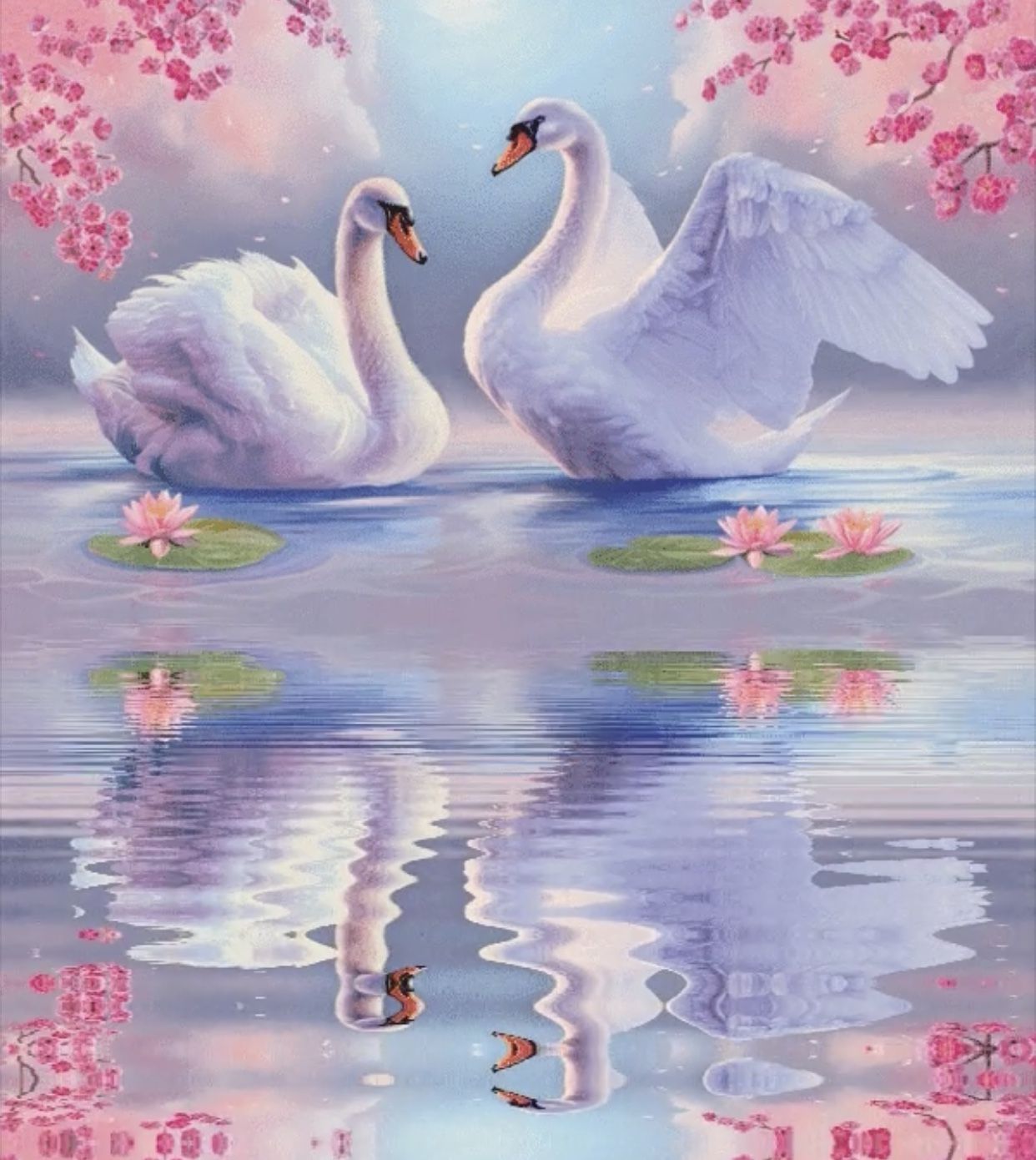 Detail Images Swans Nomer 16