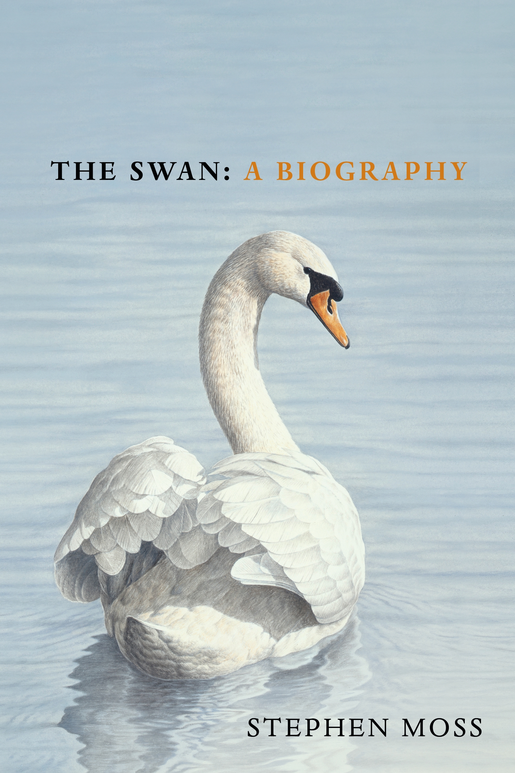 Detail Images Swans Nomer 36