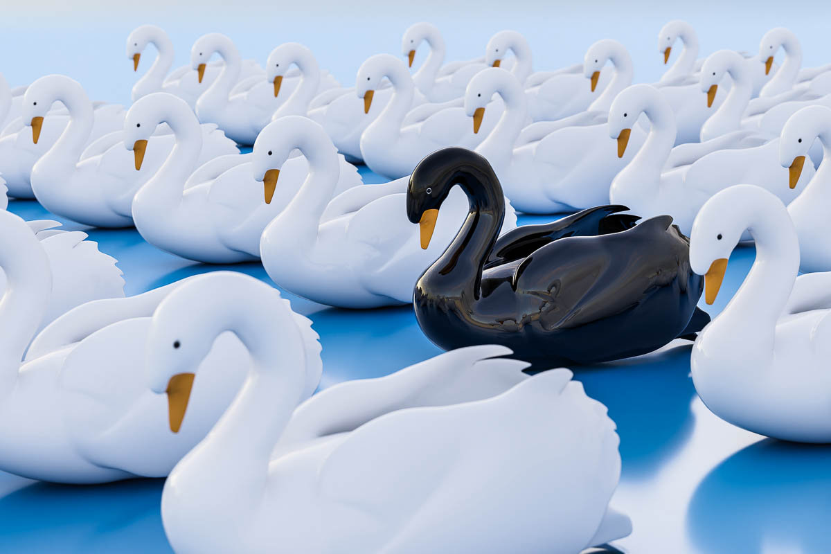 Detail Images Swans Nomer 52