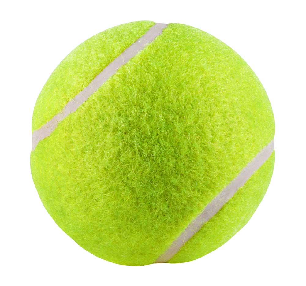 Detail Images Tennis Ball Nomer 26